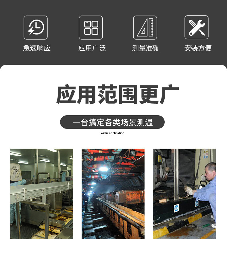 PT100温度传感器20_http://www.shenyanglong.com_温度仪表_第6张